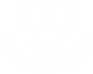 ROYAL SUN ALLIANCE OB FC badge